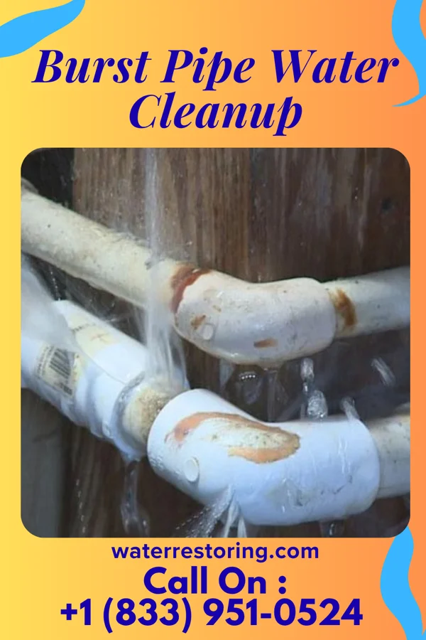 Burst Pipe Water Cleanup in Crookston, NE