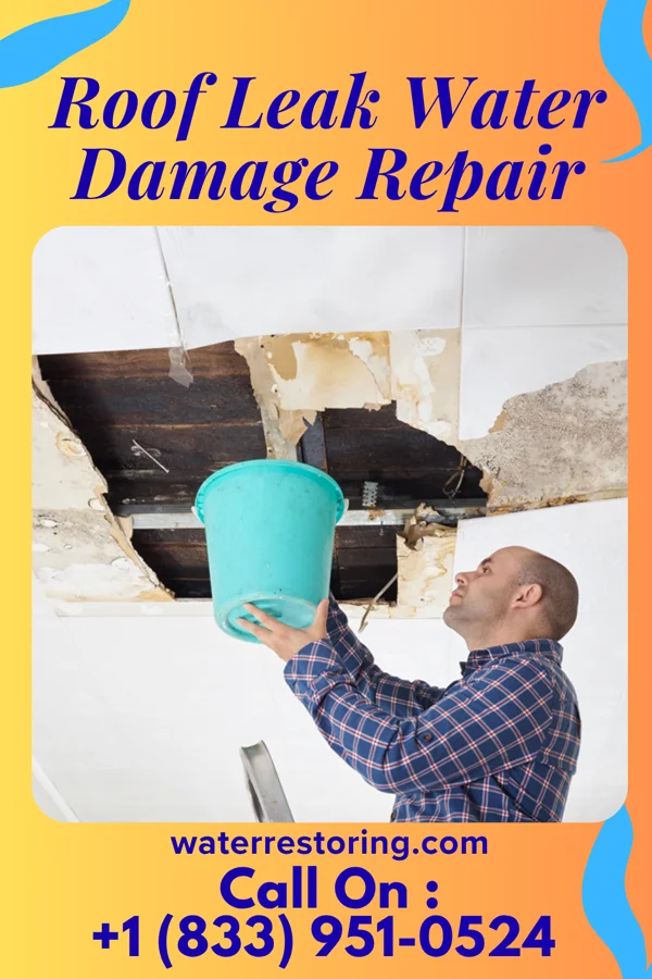 Roof Leak Water Damage Repair in Crookston, NE