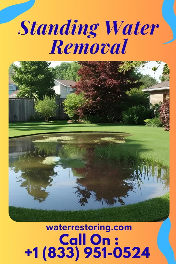 Standing Water Removal in Crookston, NE